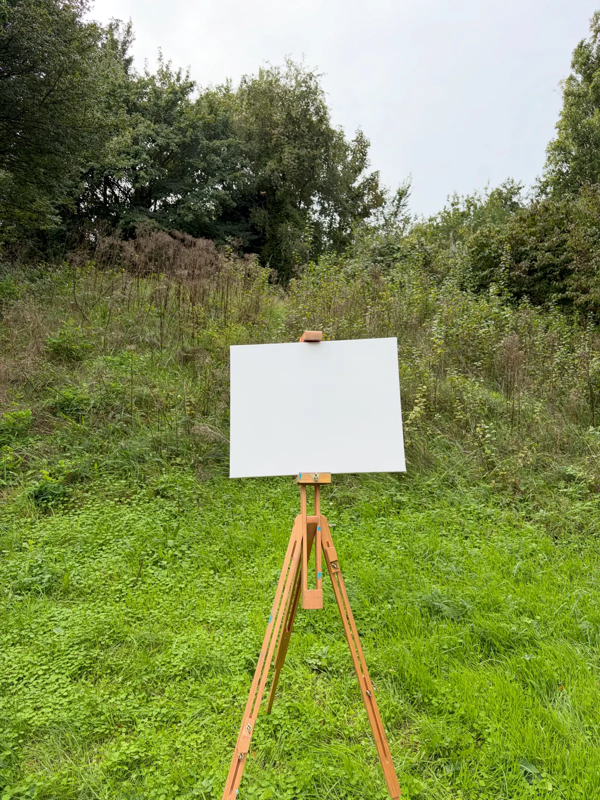 An empty canvas on an easel surrounded by greenery